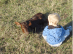 Walnut Hill Farm at Elm Springs