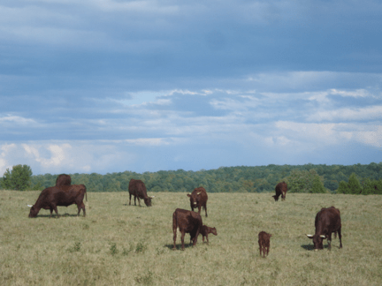 This image has an empty alt attribute; its file name is devon1-3.png